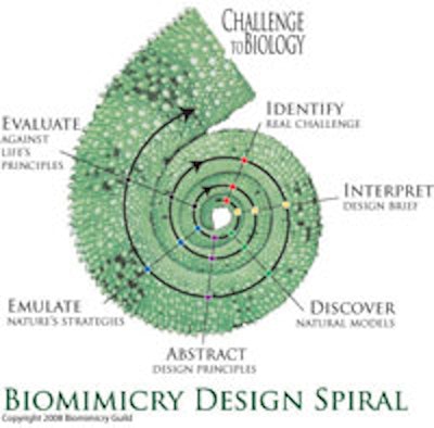 The Biomimicry Design Spiral is designed to visually teach biomimicry principles. Courtesy of Angela Klinefelter of the Biomimicry Institute, copyrighted by the Biomimicry Guild and used with permission.