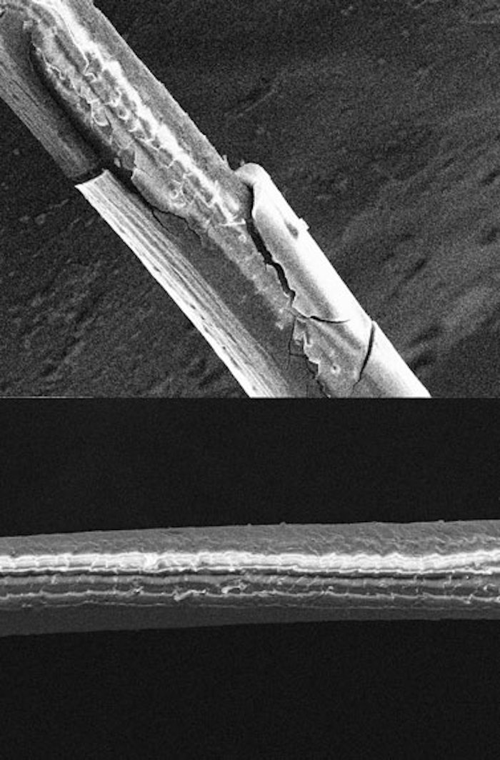 The top half of this image is African-American hair pretreated with water, the bottom image is African-American hair pretreated with Farmal® MD 15 maltodextrin.