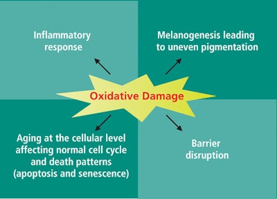 Hypothesized_pathway_f