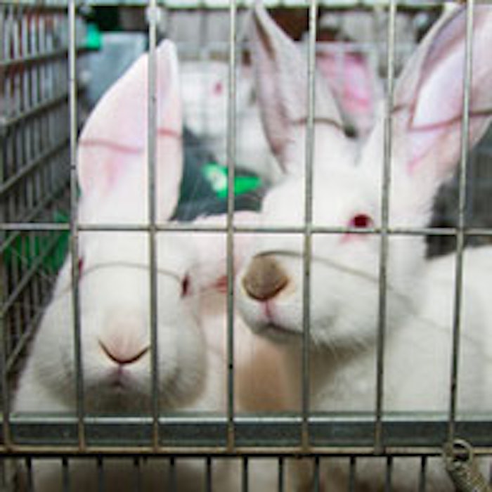 News_AnimalsCaged_MAIN1