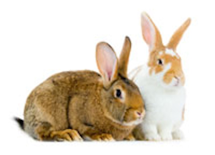 GCI1508_AnimalTestingBunnies_Wbackground_m
