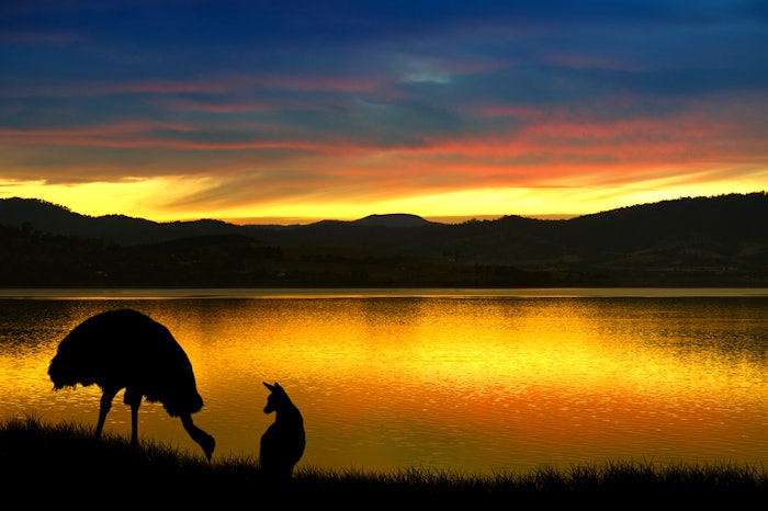 New organization seeks safe supply of emu oil.