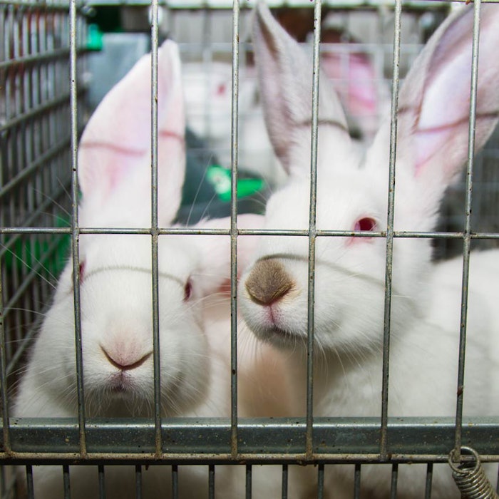 SI1507_News_AnimalsCaged_8501