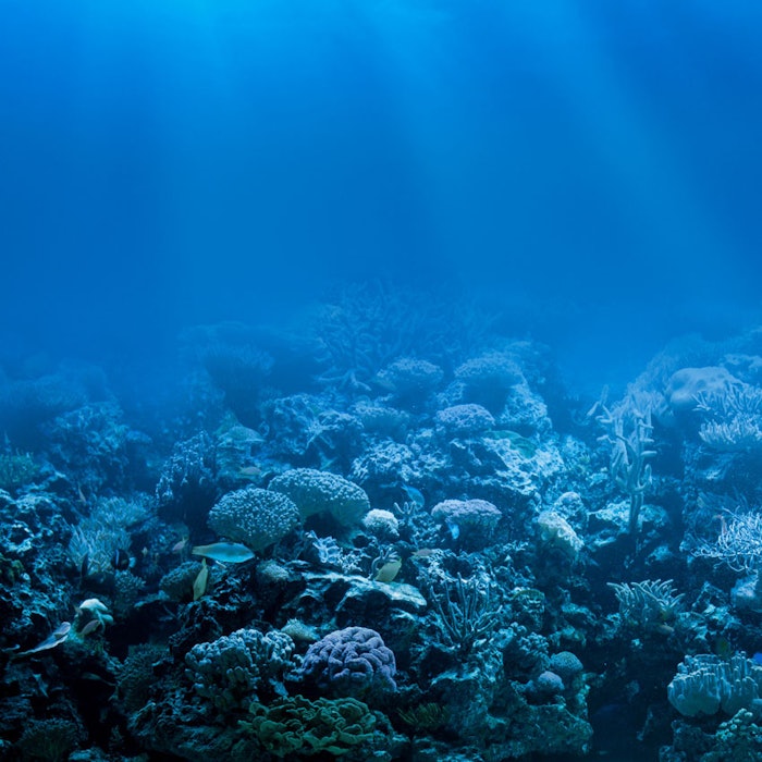 coral_GCI_850