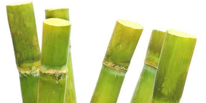 850x425_sugarcane