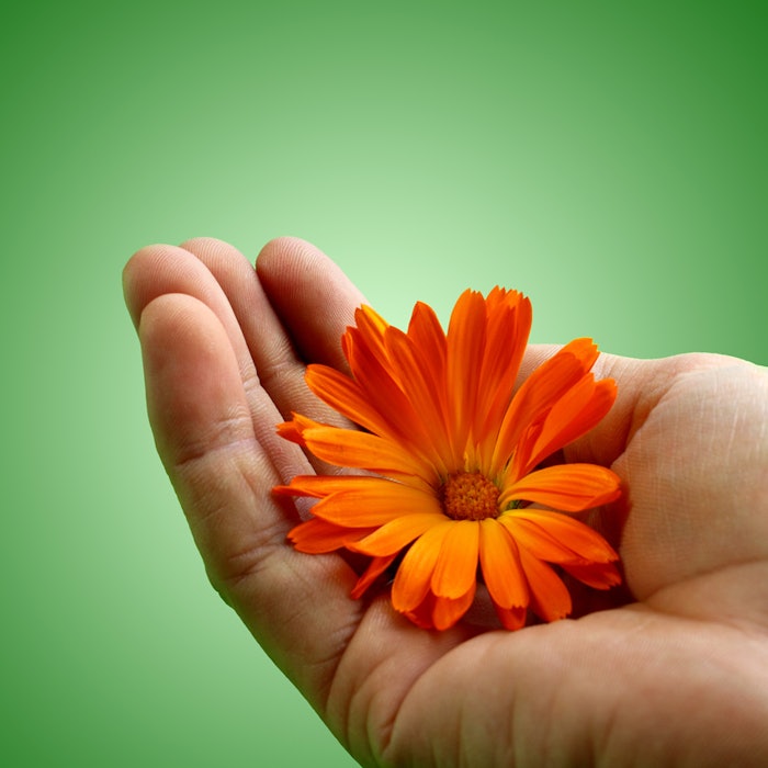 dreamstime_xl_24330795bill