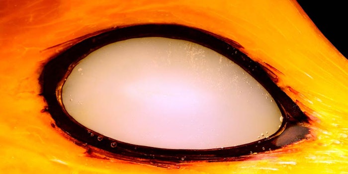 425-palm-oil