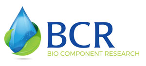 logo_bcr_61516