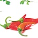 MustardSproutChilis850x425_Mibelle