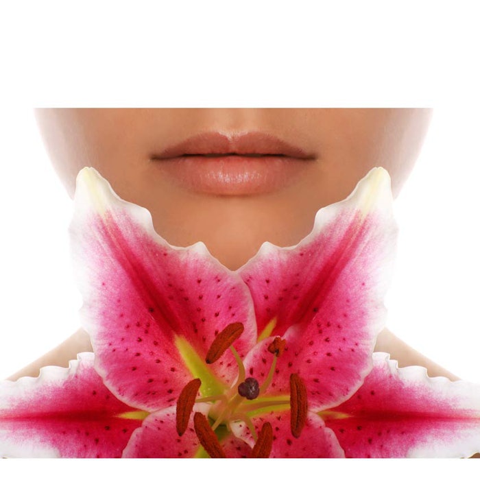 850_beautyimage