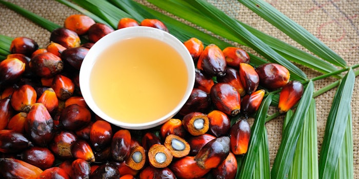 PalmOil850x4251