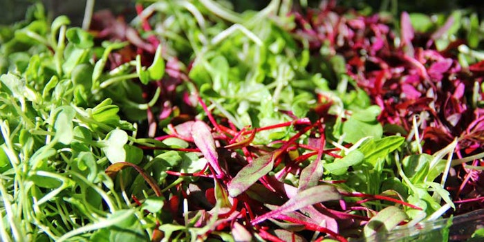 microgreens_425