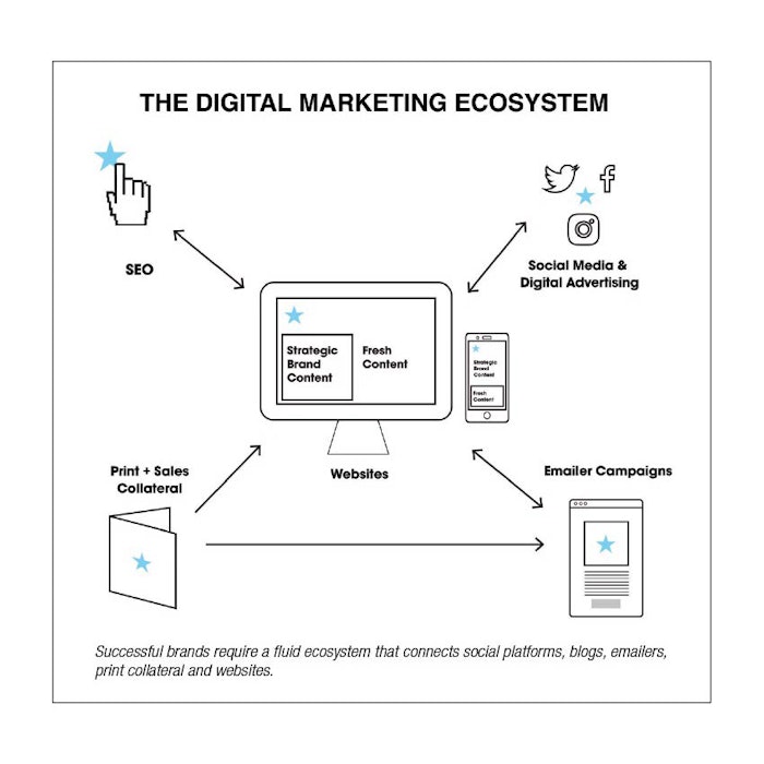 An overview of the digital marketing ecosystem.