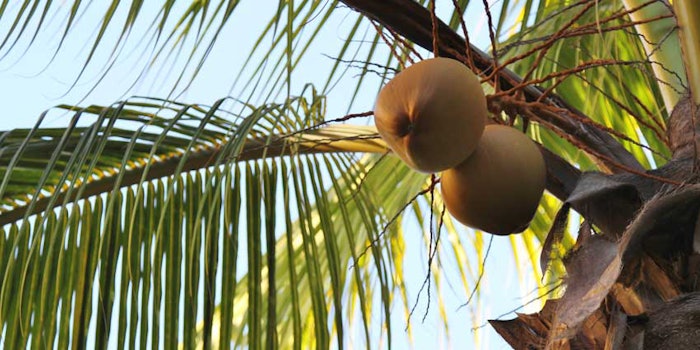 coconutoleosinflammaging_425