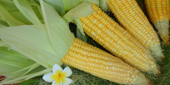 sweetcorningredient_425