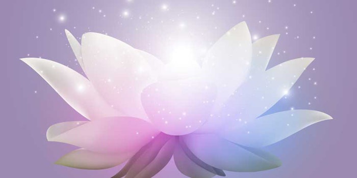 nelupurelotus_425