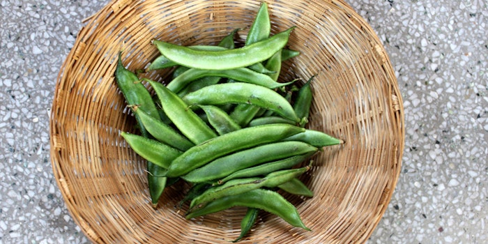 sustainableguarinitiative_425