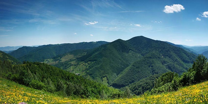 850x425_wackertuvsud