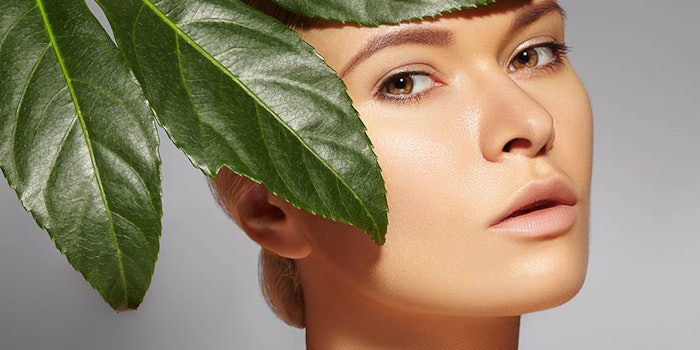 850x425_cleanbloomies