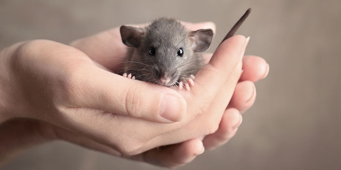 CuteRatinHands850x425