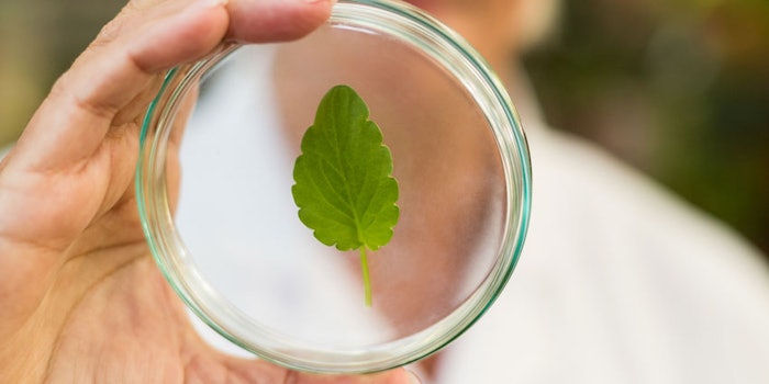 PlantPetriDishChemist850x425
