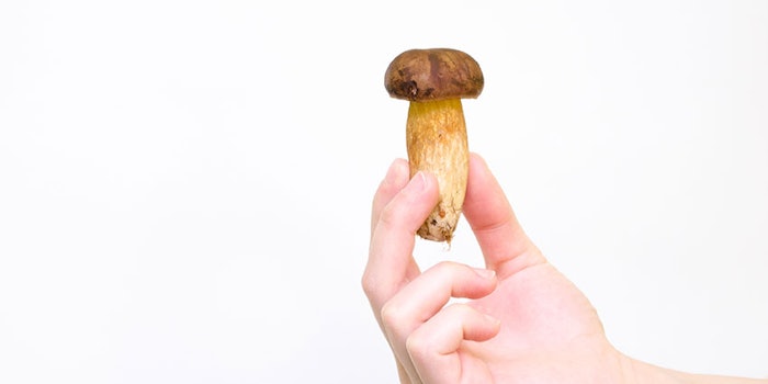mushroom_425