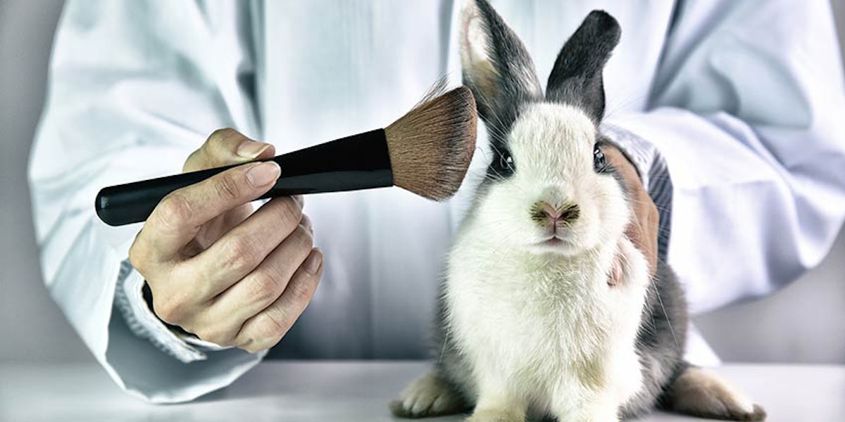 Animal tested clearance makeup