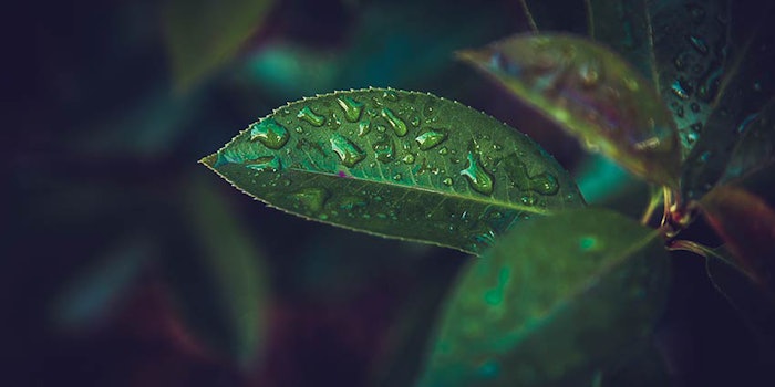 850x425_givacdp