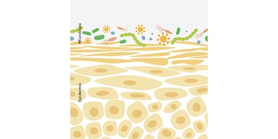 Mibelle Gci1903 Image2