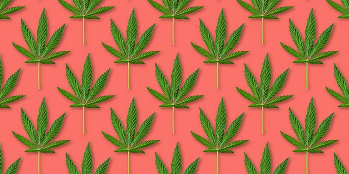 Premium brands are racing to fill a booming consumer demand for all things cannabis-related, particularly CBD products.