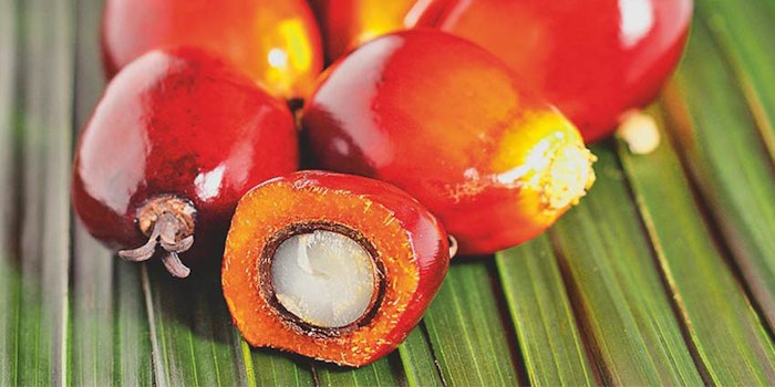 850x425_basfesteepalm