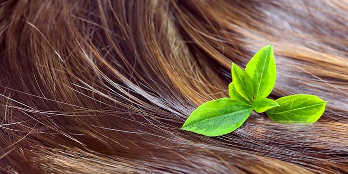 leavesinhair_425