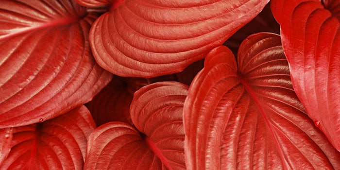 How does sustainability build brands and what is 'blue beauty'?