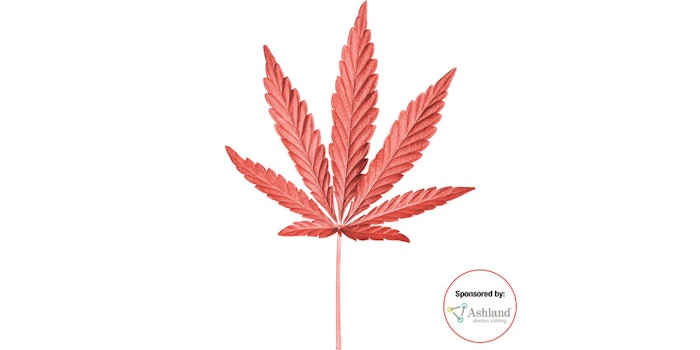 cbd-feature4254