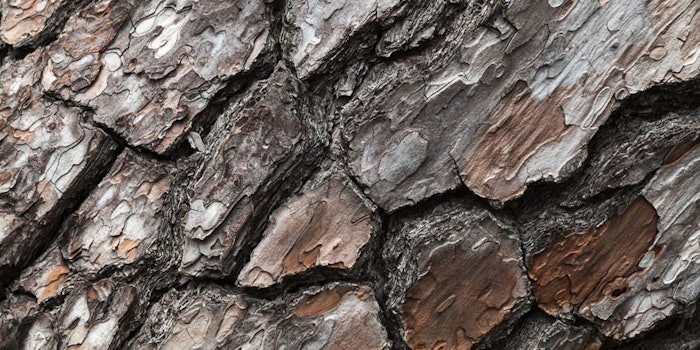 PineBark850x425