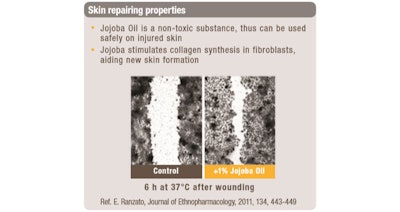 Jojoba Gci1909 Image2
