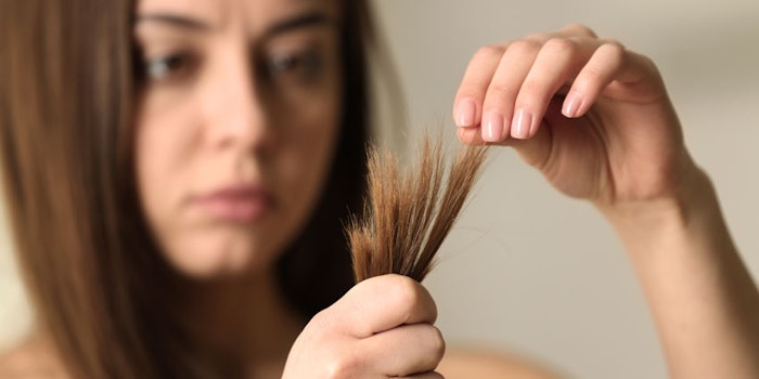 DamageHairBrunette850x425