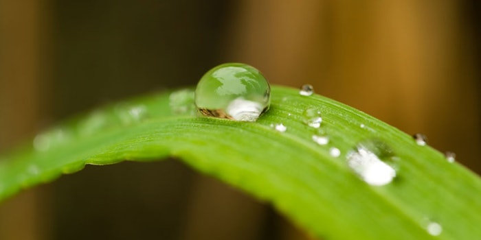 WaterDropOnGrass850x425