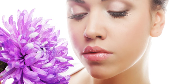 PurpleChrysanthemumWomanBeauty850x425