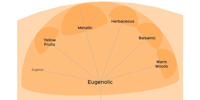 ScenTree is inspired by Lifemap, which visually outlines all of the planet's species.