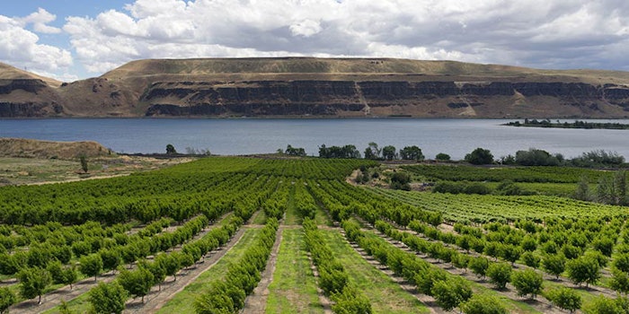 Columbia Basin Bioscience has opened a vertically integrated, single-site CBD production facility.