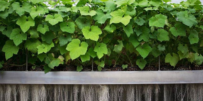 Clariant and Plant Advanced Technologies have signed a strategic partnership that display's Clariant's commitment to a more sustainable industry.