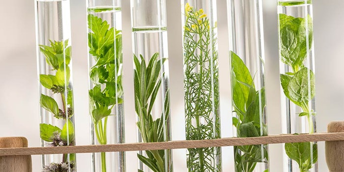 Teryls, a manufacturer and supplier of lipophilic actives, has appointed Maprecos as its sustainable active ingredients distribution partner.