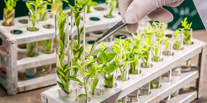 ADM and P2 execute a Memorandum of Understanding to develop commercial opportunities for plant-based monomers, polymers and ingredients for personal care and flavors and fragrances.