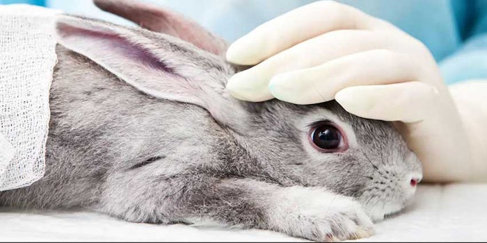 Mexico_animal_testing_ban850
