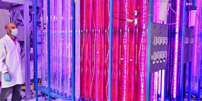 Yemoja_microalgae850