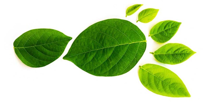 Beiersdorf Evonik Carbon Footprint