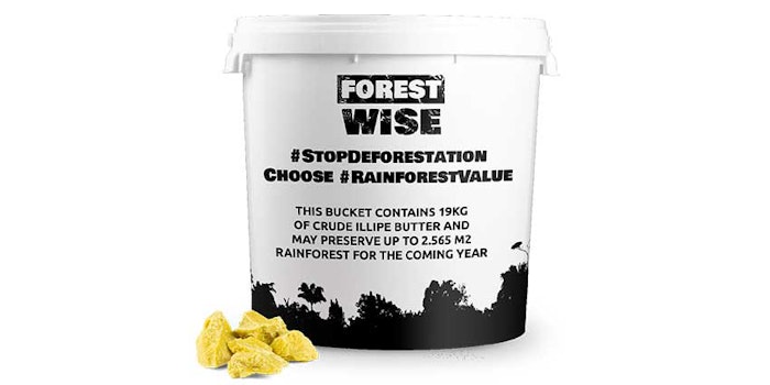Forestwise Illipe Butter