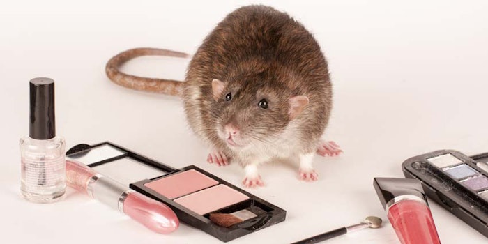 RatwithCosmeticProducts850x425