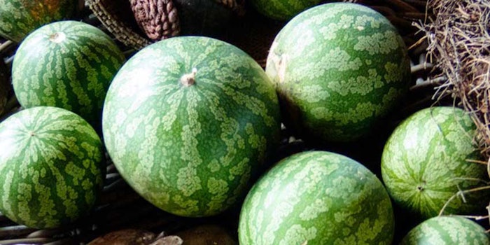 Praan Naturals Kalahari Melon Oil